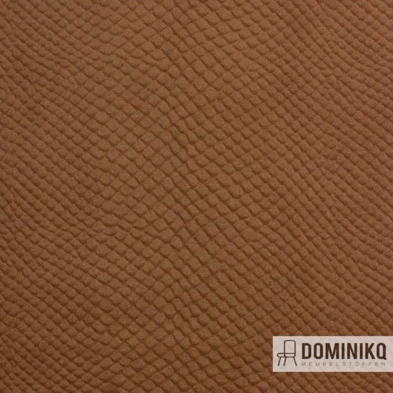 Vyva Fabrics - Glade Stamp - 3479 - Aztèque