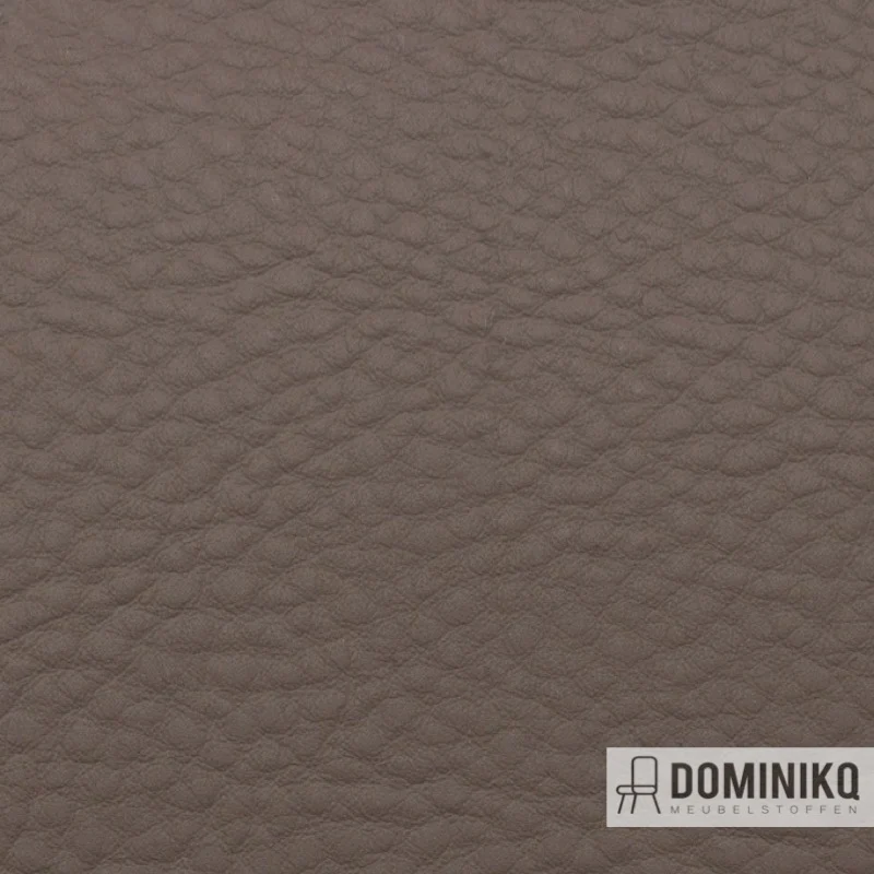 Vyva Fabrics - Bella Grana - 3171 - Champignon