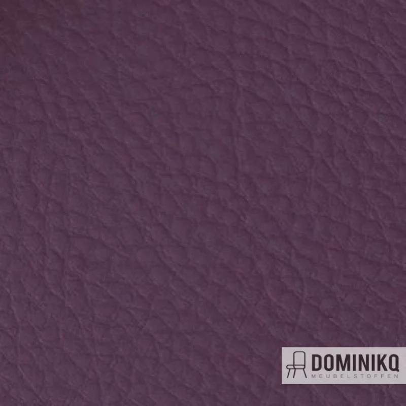 Vyva Fabrics - Bella Grana - 4705 - Pruneau