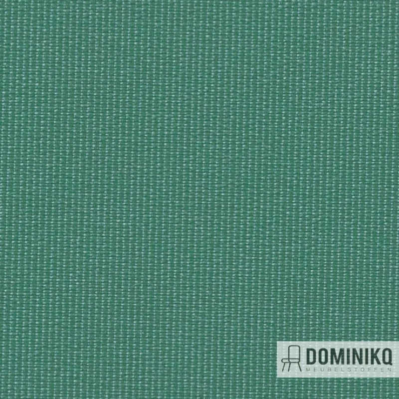 Vyva Fabrics - Globe - 2394 Vert Persan