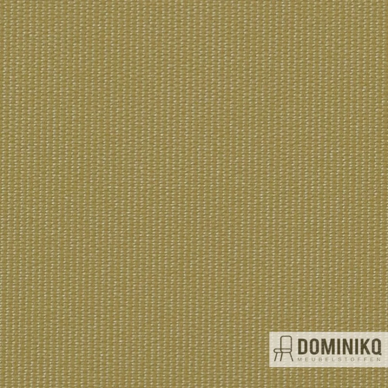 Vyva Fabrics - Globe - 2399 Hetch