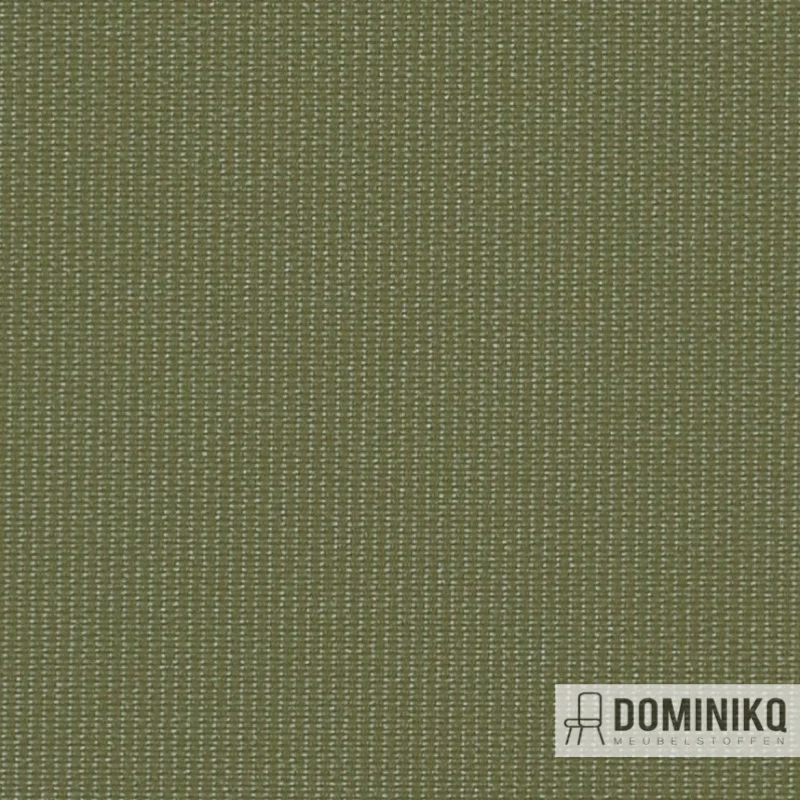 Vyva Fabrics - Globe - 2398 Iguane
