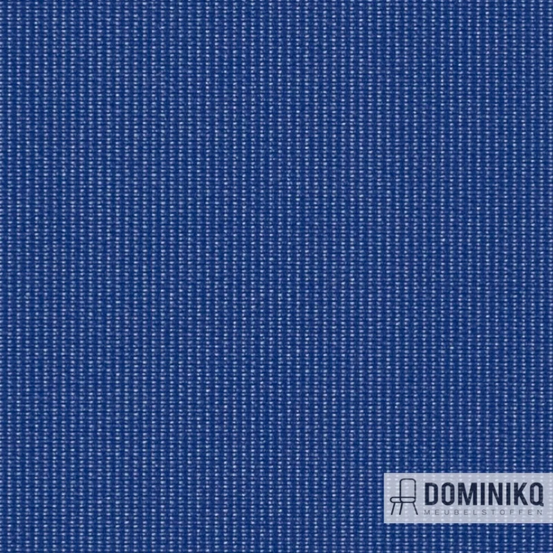 Vyva Fabrics - Globe - 2396 Indigo