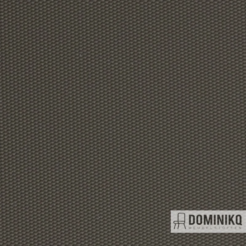Vyva Fabrics - Globe - 2454 Béton