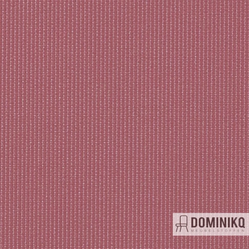 Vyva Fabrics - Globe - 2434 mauve