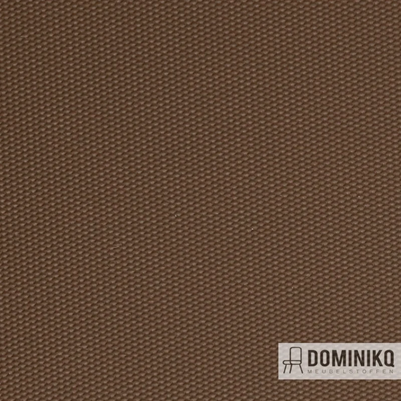 Vyva Fabrics - Globe - 2459 Terrain