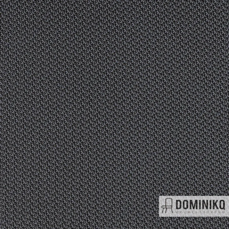 Vyva Fabrics - Hitch - 8903 Platine