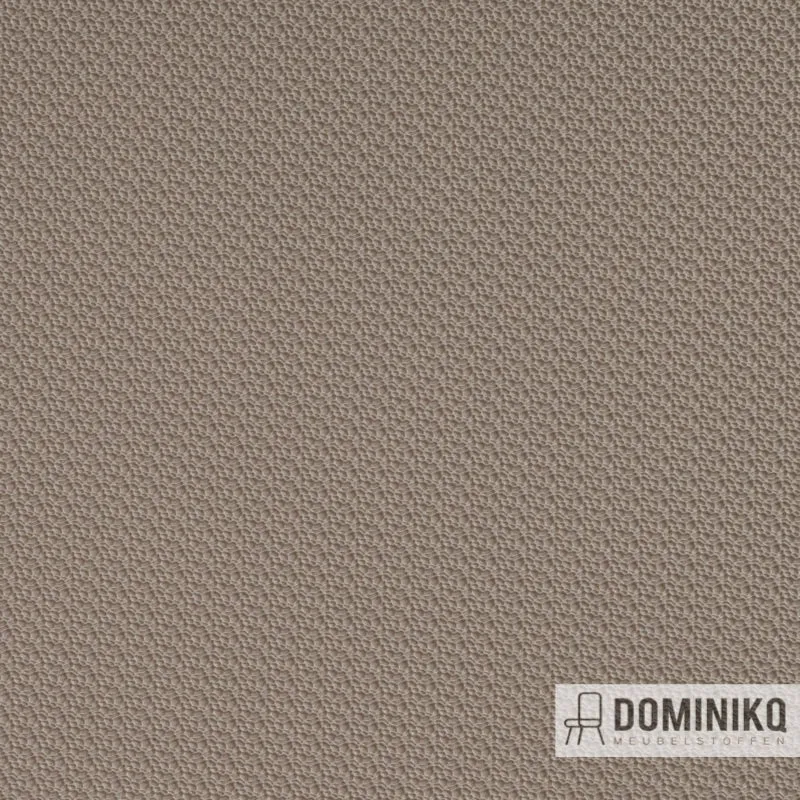 Vyva Fabrics - Hitch à 8964 Seacoquille