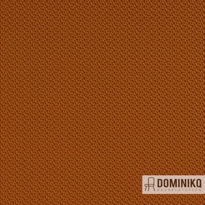 Vyva Fabrics - Hitch - 8991 Mandarine