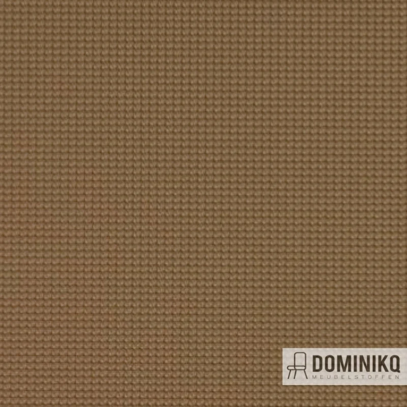 Vyva Fabrics - Legend - 2269 - Cachemire