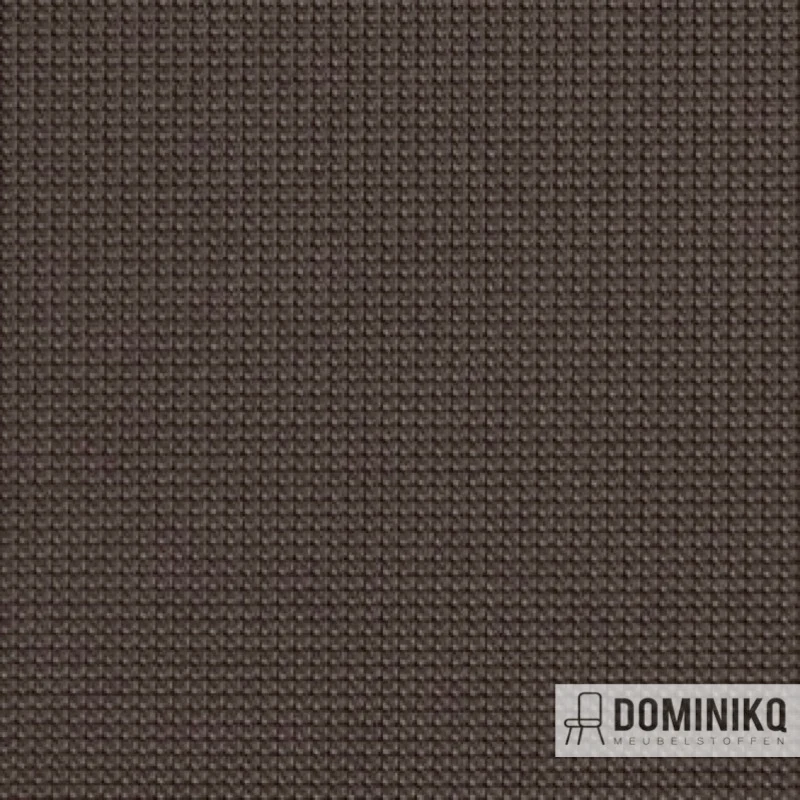 Vyva Fabrics - Legend - 2271 - Charbon