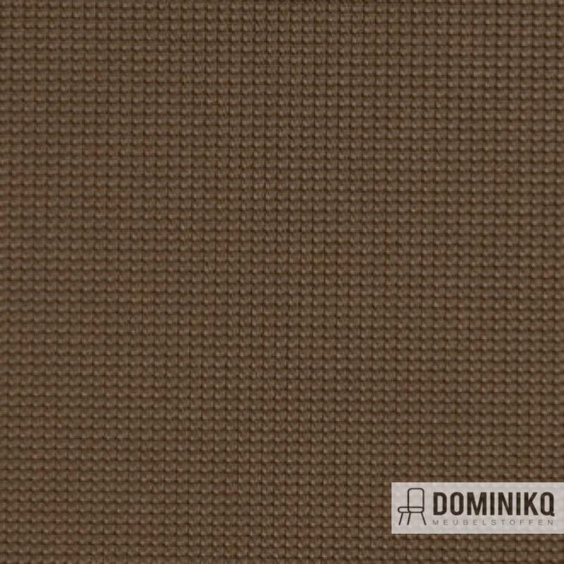 Vyva Fabrics - Legend - 2270 - Pine Cône