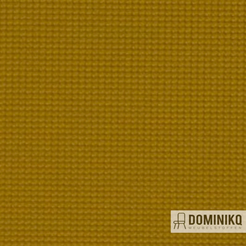 Vyva Fabrics - Legend - 2278 - Nectar
