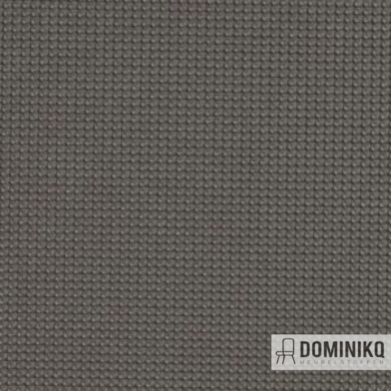 Vyva Fabrics - Legend - 2288 - Boue