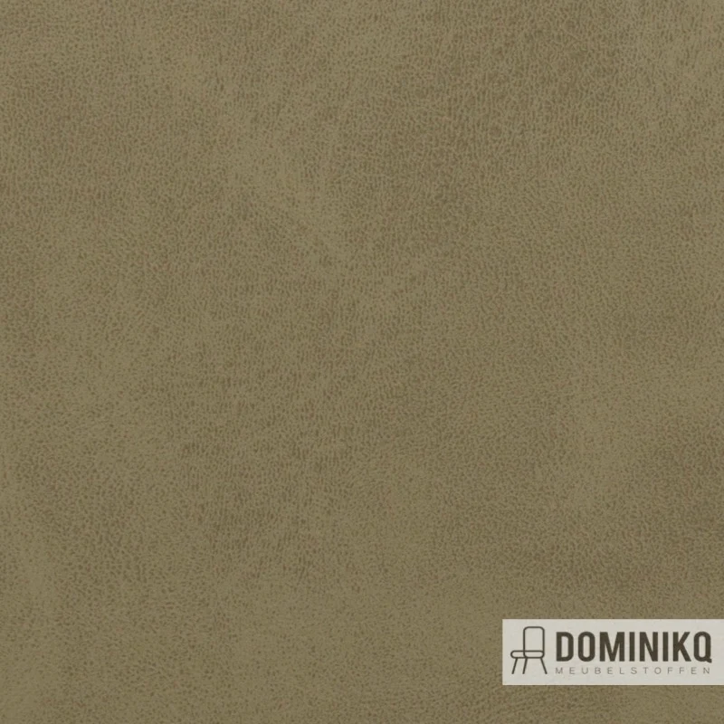 Vyva Fabrics - Cambridge - 4203 - Mousseline