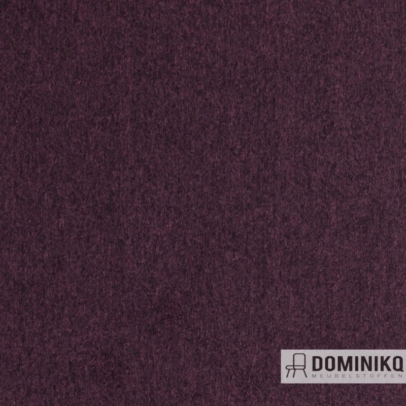 Agua - Cashmir - C08 - Raisin