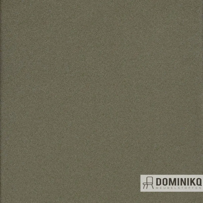 Agua - Cashmir - C14 - Champignon