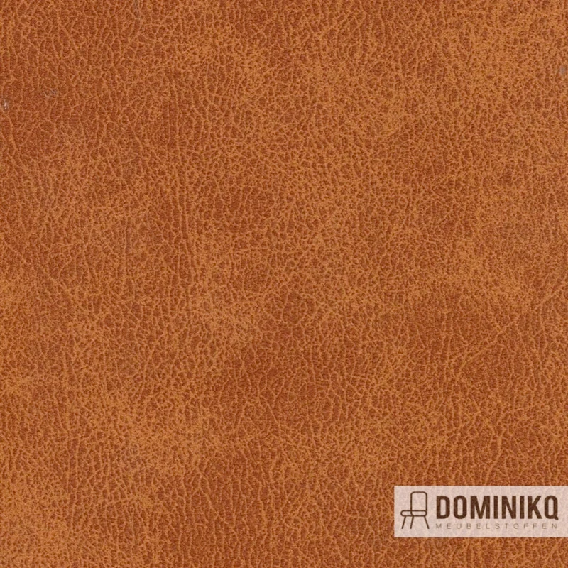 Agua - Alberta Hyde -ALB01- Maple