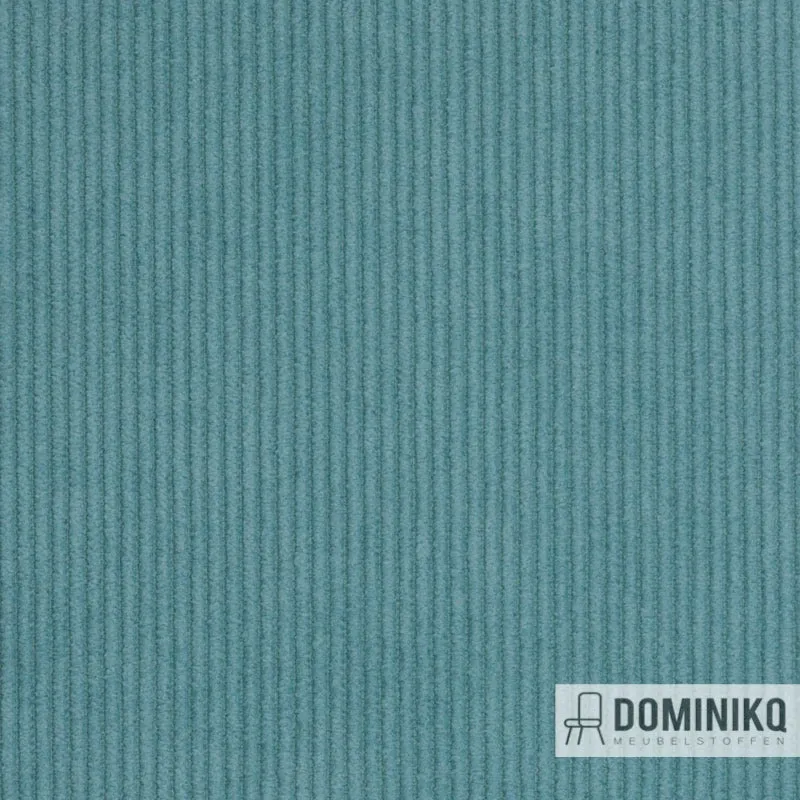 Agua - Cord - CORD02 - Œuf de Canard