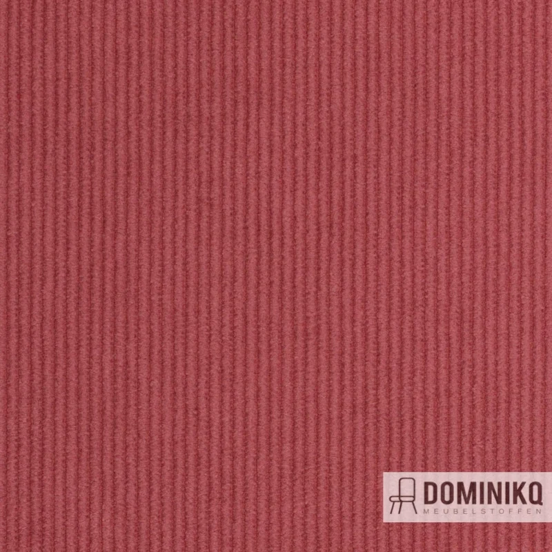 Agua - Cord - CORD03 - Rose