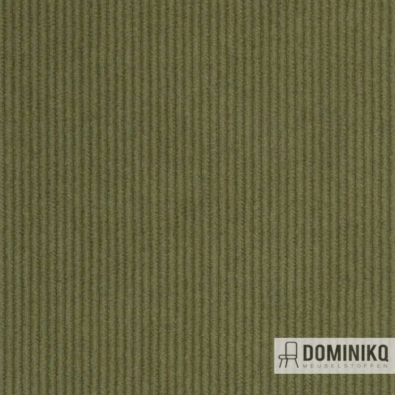 Agua - Cord - CORD07 - Olive