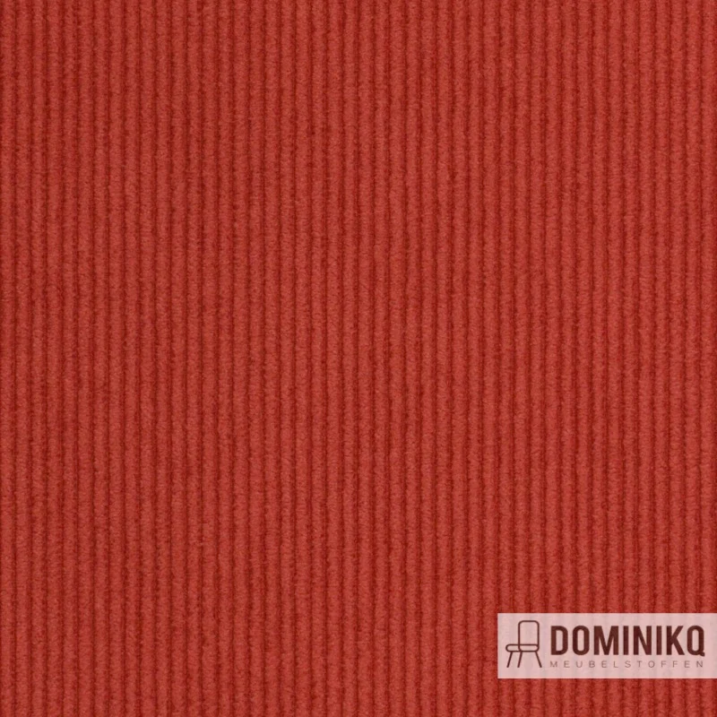Agua - Cord - CORD06 - Corail