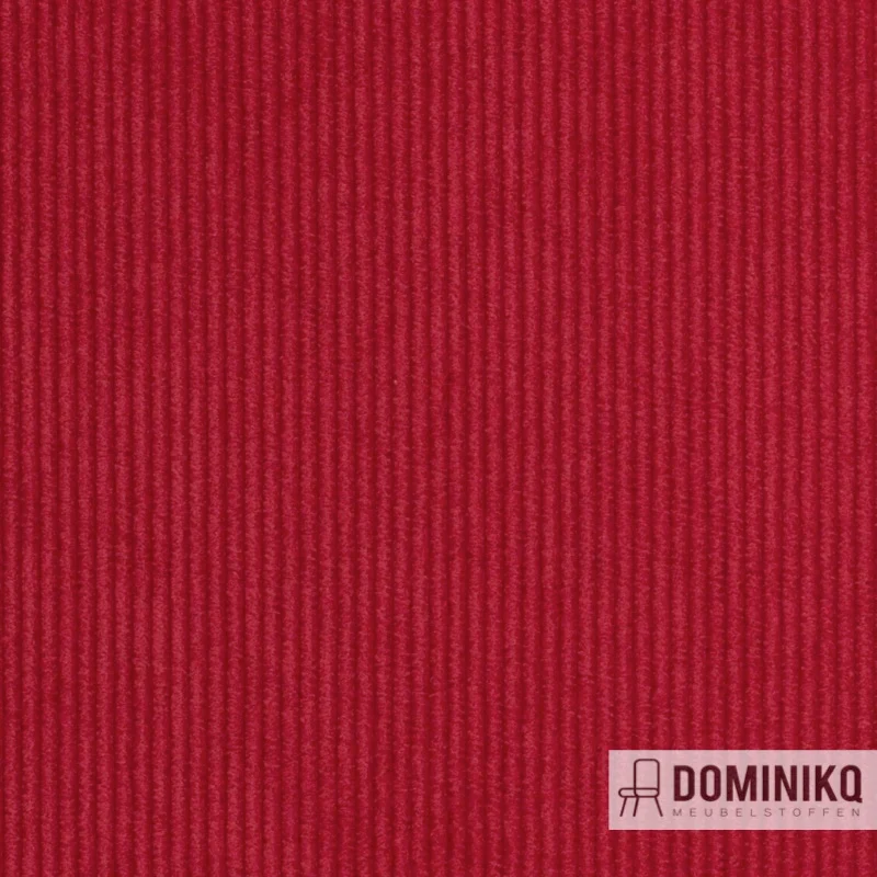 Agua - Cord - CORD09 - Cerise