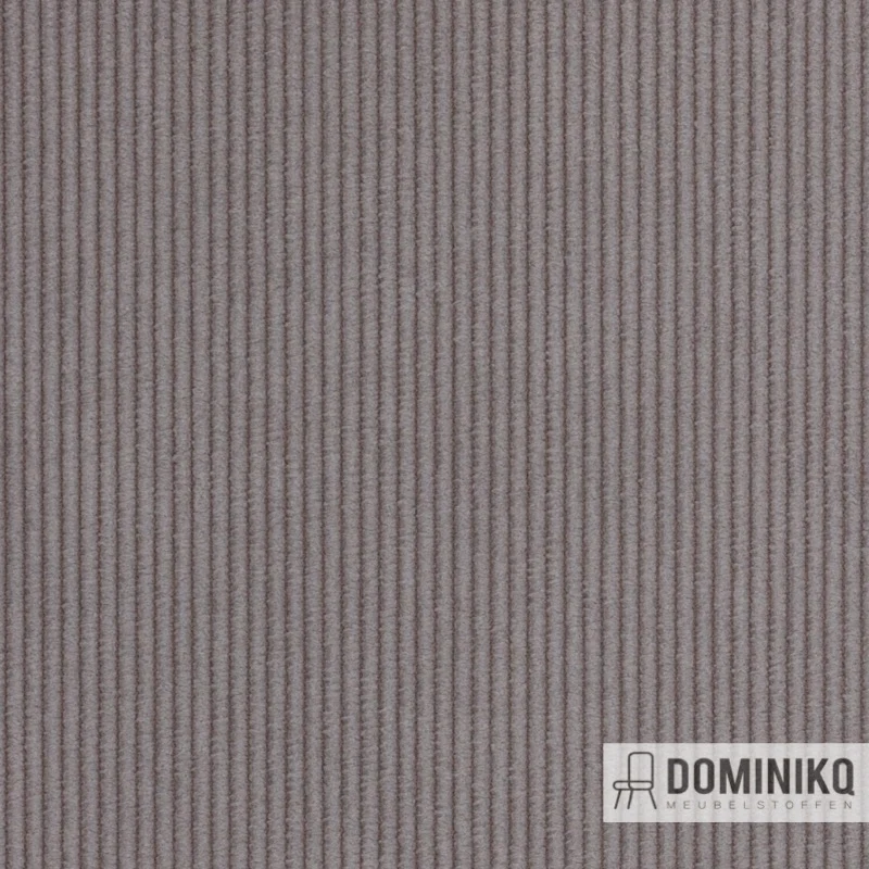 Agua - Cord - CORD11 - Argent