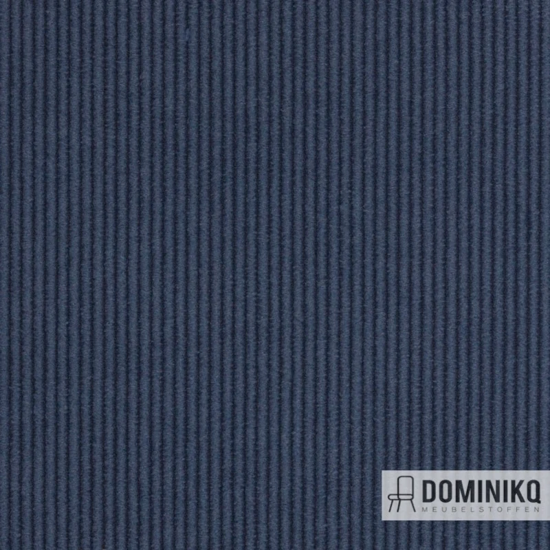 Agua - Cord - CORD16 - Saphir