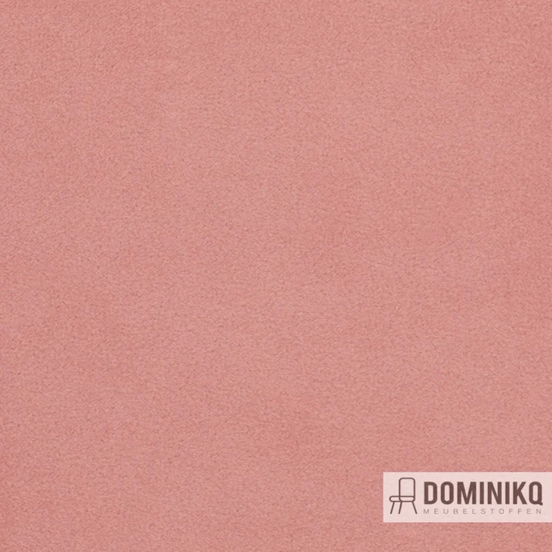 Agua - Finezza - F16 - Rose
