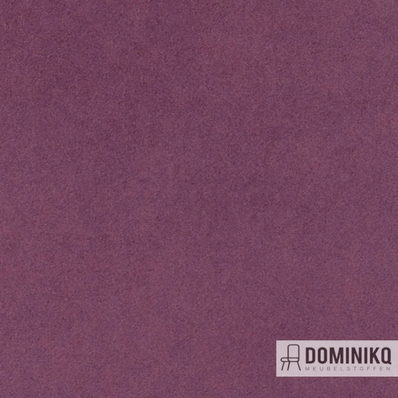 Agua - Finezza-F22- Heather
