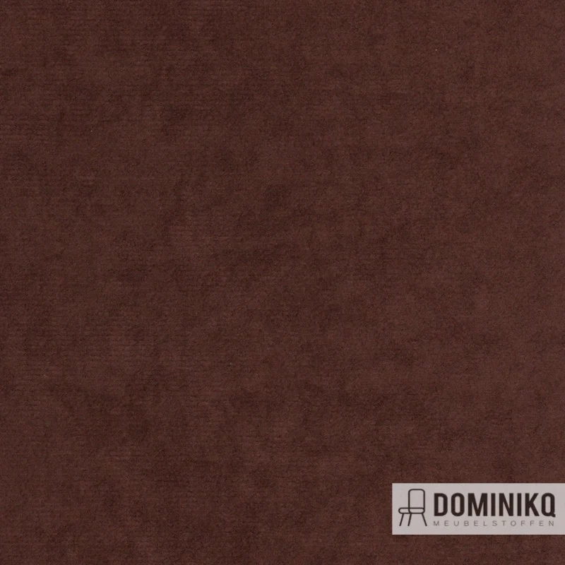 Agua - Libra - LI11 - Chocolat