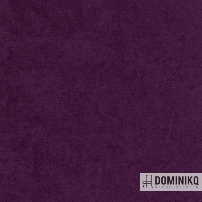 Agua - Libra - LI12 - Violet