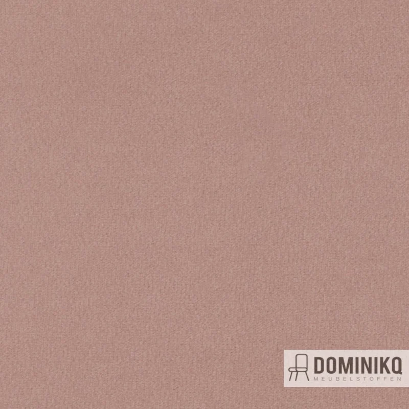 Agua - Primeira - P01 - Rose poudré