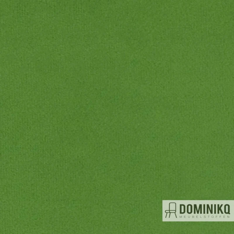 Agua - Primeira - P07 - Vert pomme