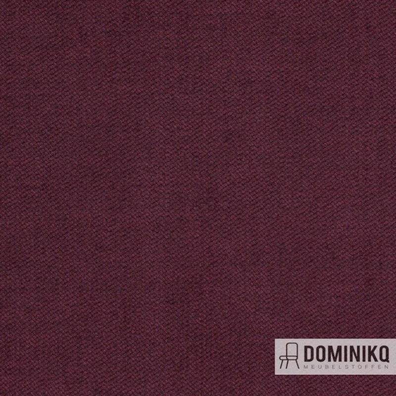 Agua - Sark - SA13 - Vin