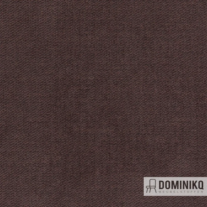 Agua - Sark - SA17 - Chocolat
