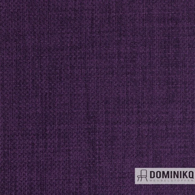 Agua - Linetta - LIN21 - Damson