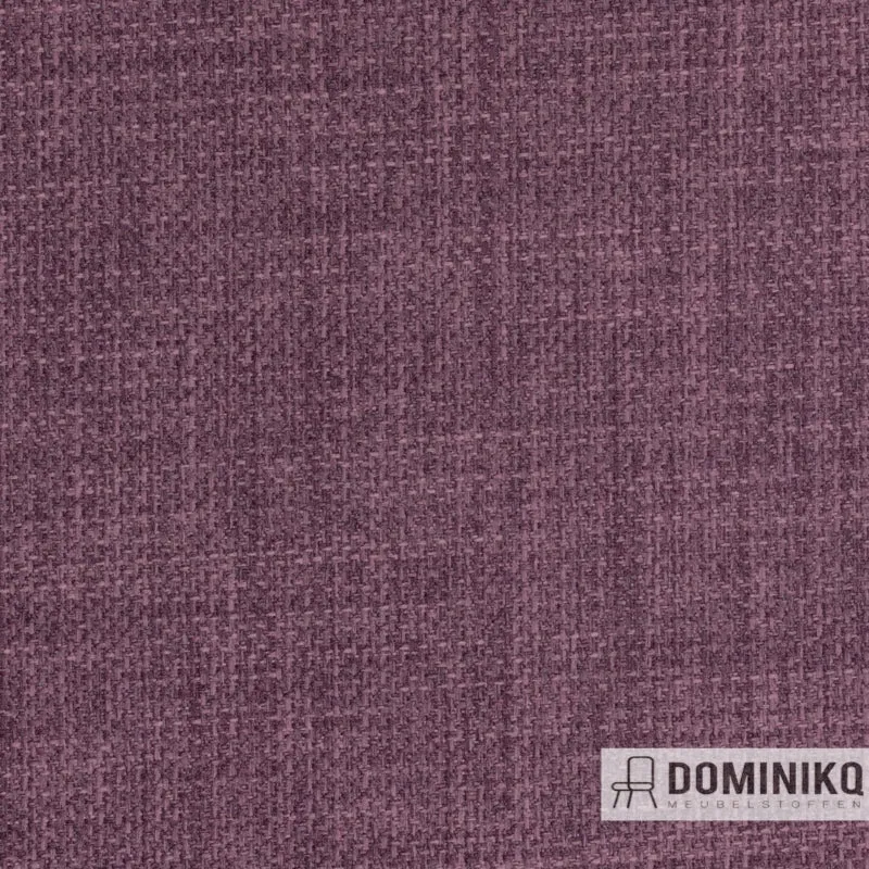 Agua - Linetta - LIN12 - Raisin