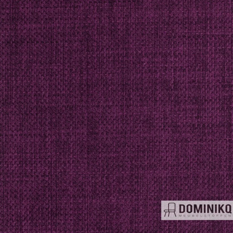 Agua - Linetta - LIN13 - Violet