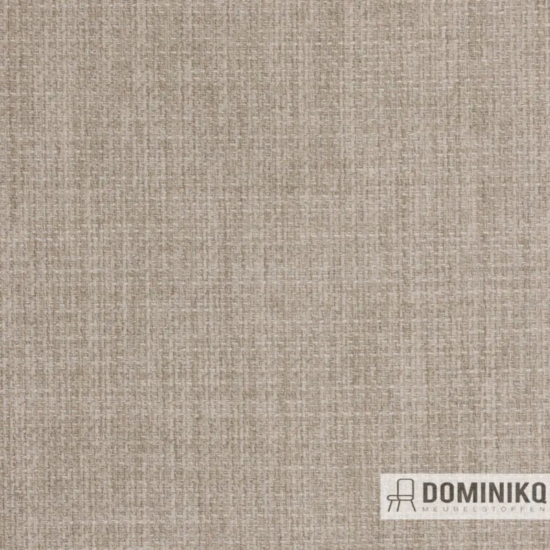 Agua - Linetta - LIN24 - Gris clair