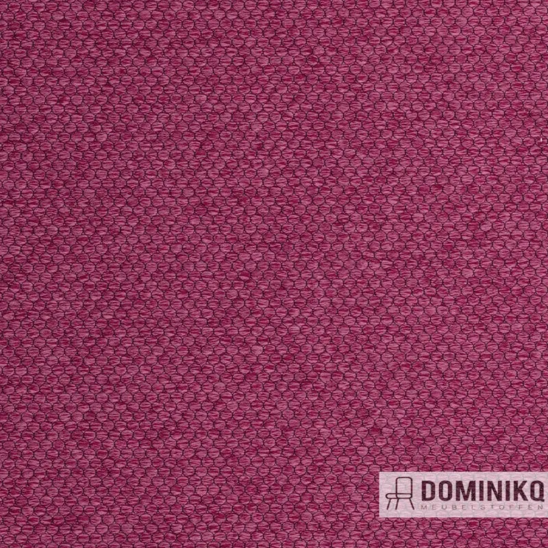 Agua - Pearl - PEARL24 - Prune