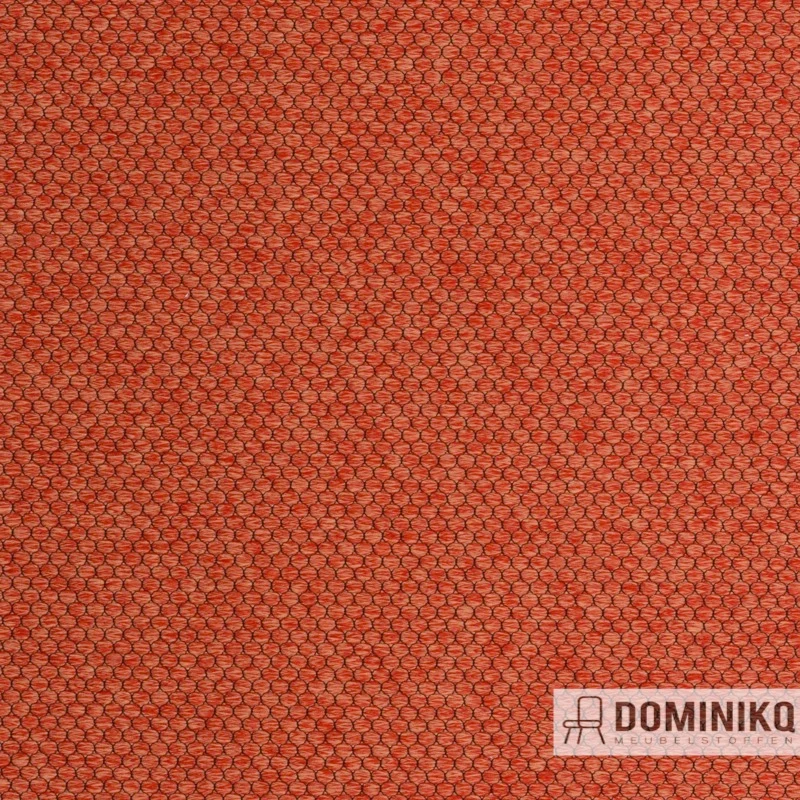 Agua - Pearl - PEARL23 - Rousse