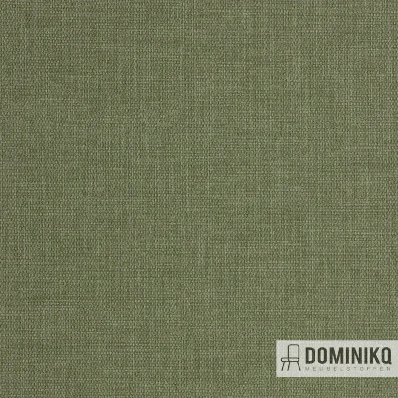 Vyva Fabrics - Harlow - 6018 - Chauve