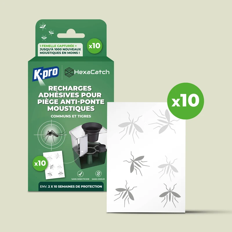 Pack de 10 recharges adhésives pour Pièges anti-ponte moustiques