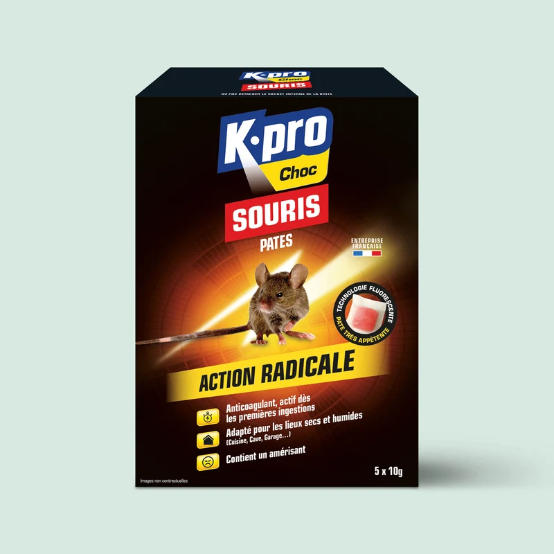 Pâtes souris