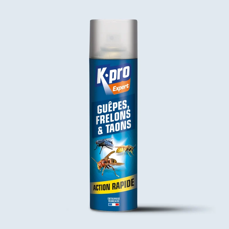 Aérosol contre guêpes et frelons