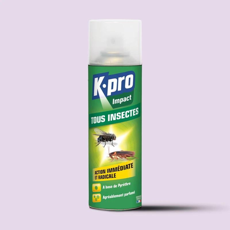 Aérosol tous insectes K.PRO