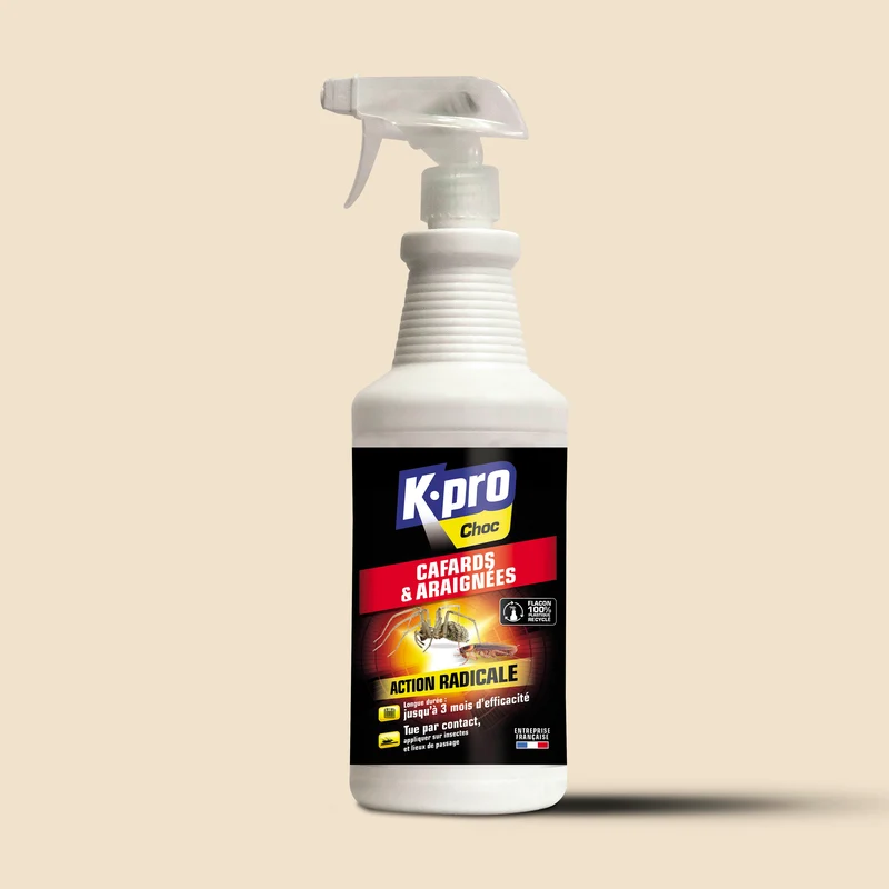 Pulvérisateur cafards et araignées