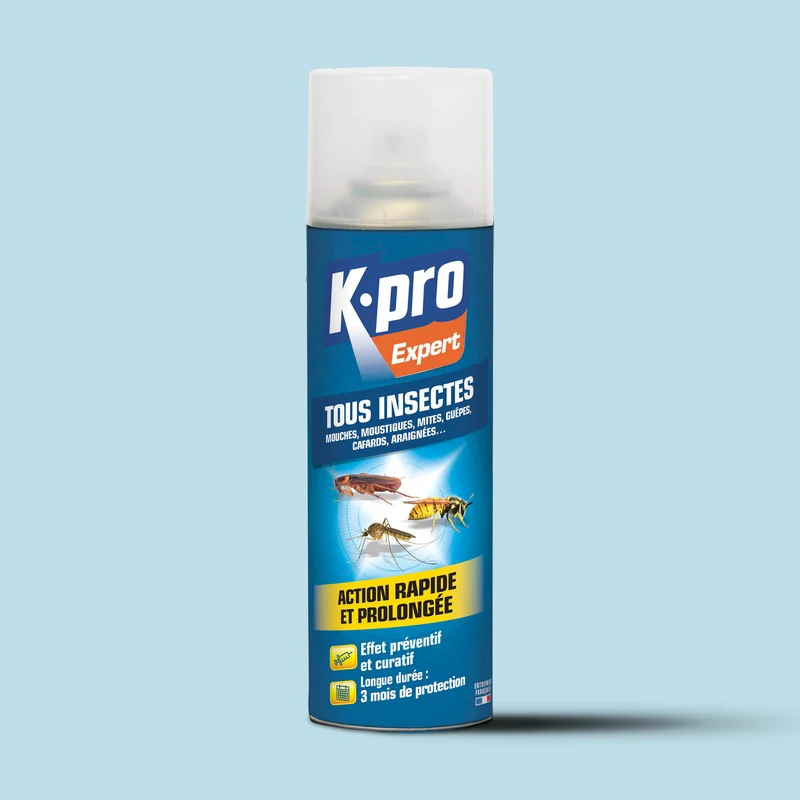 Aérosol tous insectes